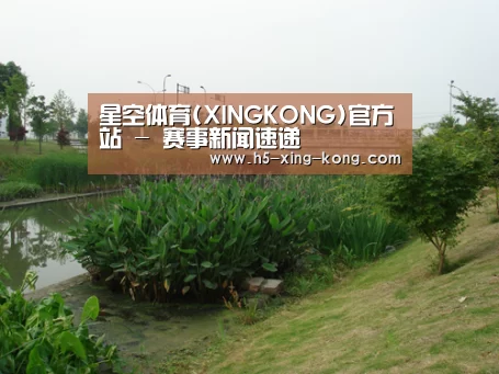案例展示四(图1)