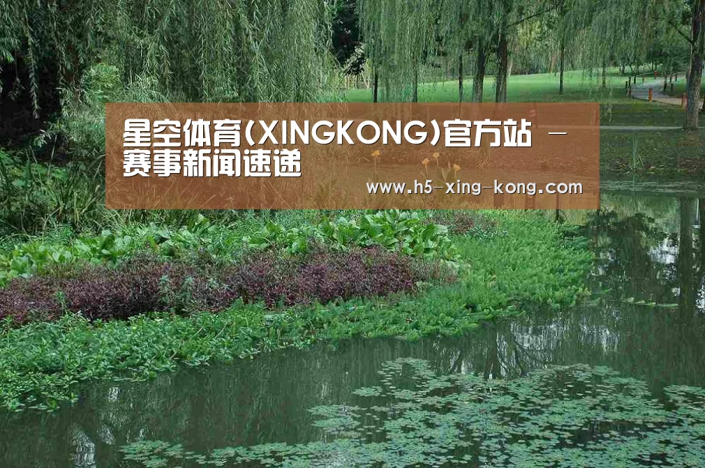 案例展示一(图1)