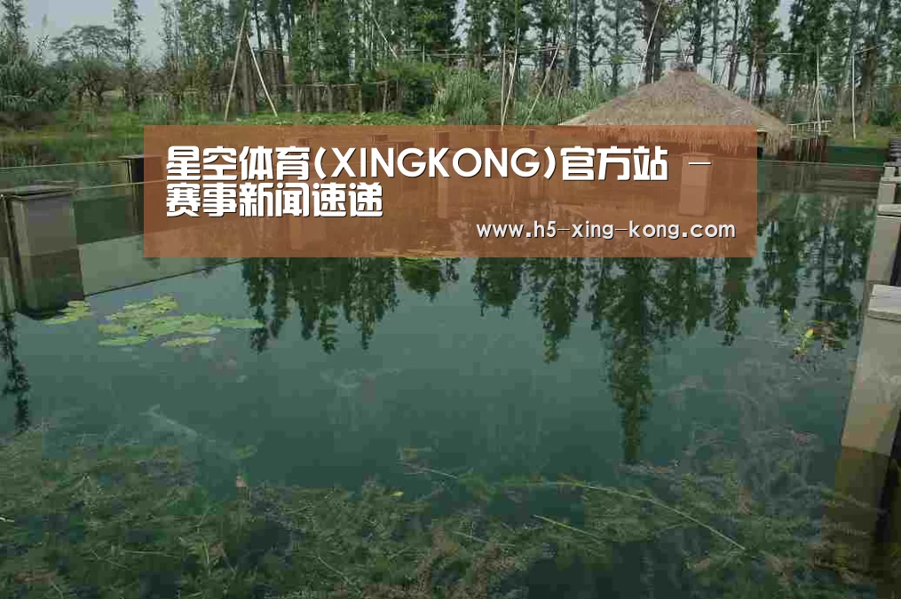 案例展示二(图1)