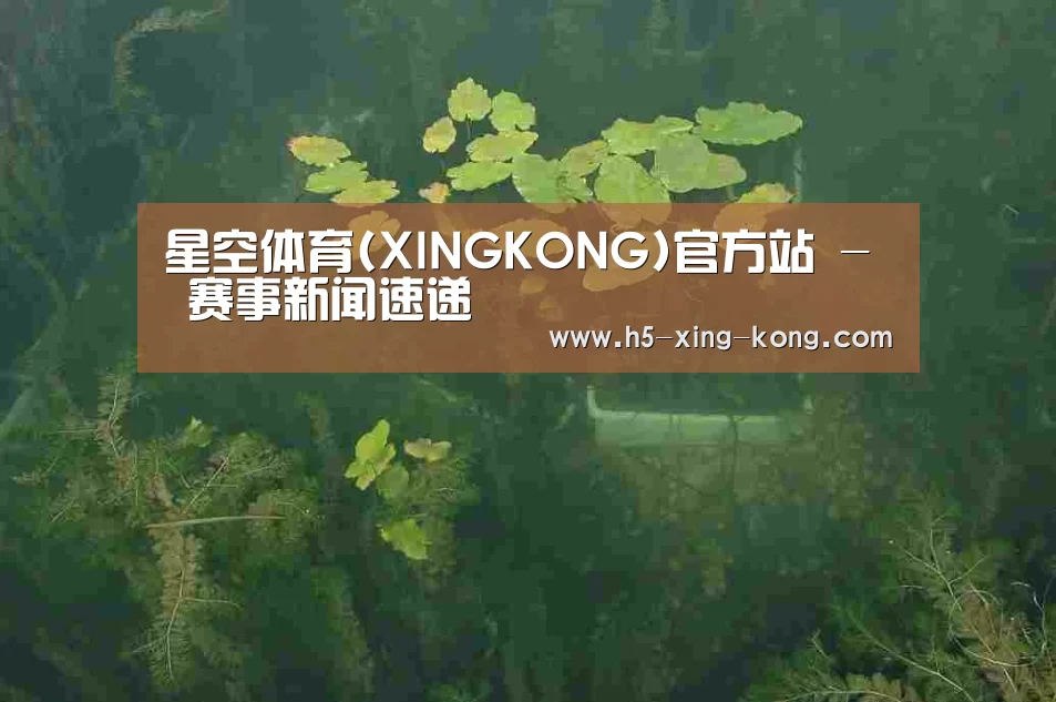 案例展示三
