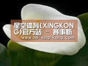 产品名称七