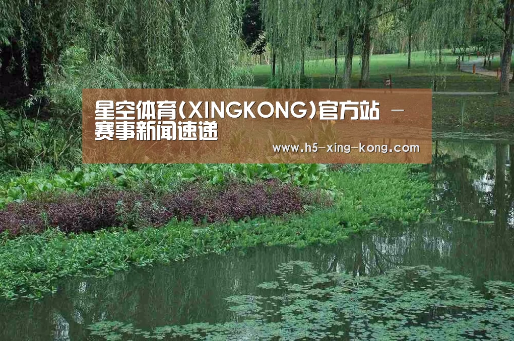 案例展示一