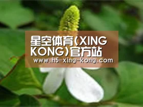 产品名称三