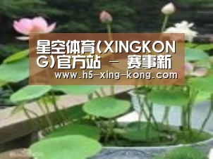 产品名称一